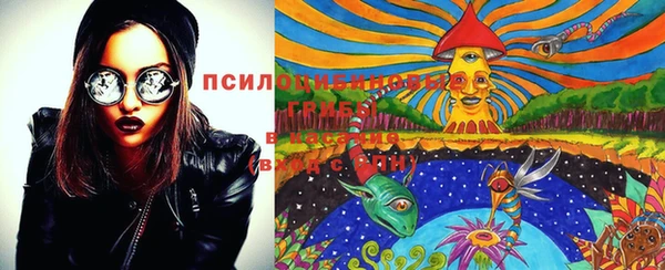 твердый Абаза