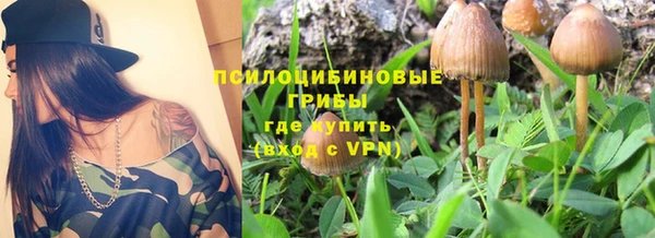 твердый Абаза