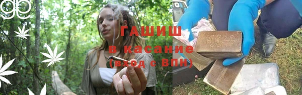 твердый Абаза