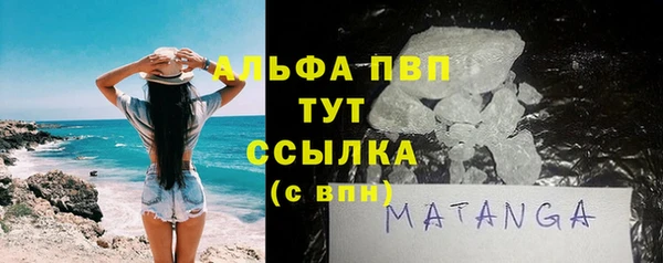 прущие грибы Алзамай